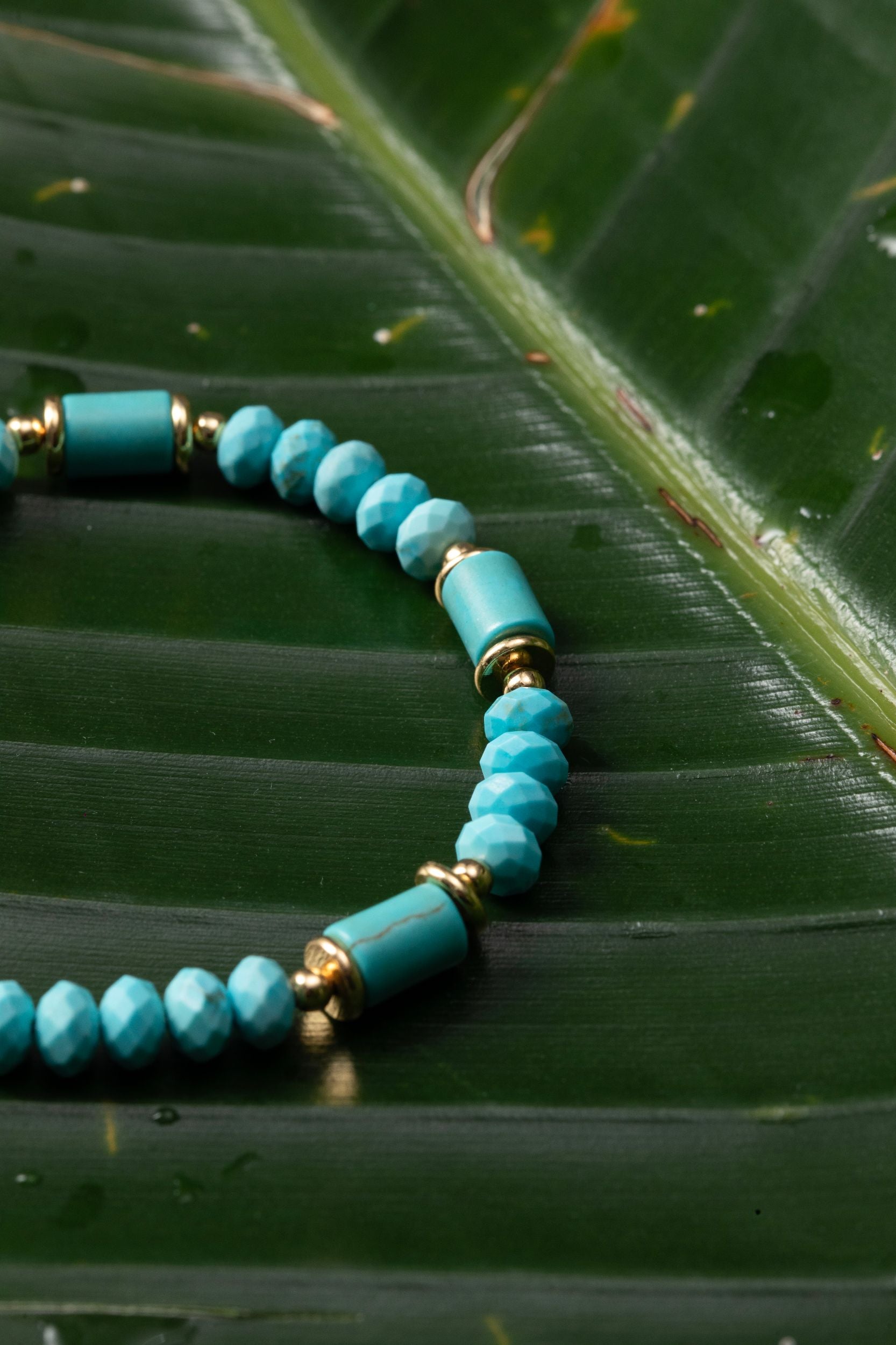 Multicolor Turquoise